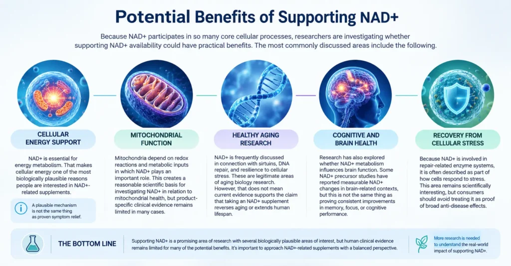 NAD+ benefits infographic showing cellular energy, mitochondrial function, brain health, and healthy aging research